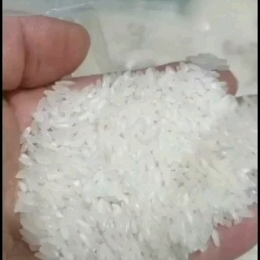 稻花香，五常稻花香，油亮，闻香，吃香，醇香