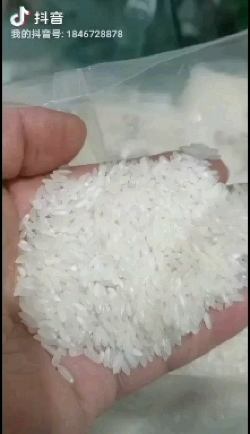 稻花香，五常稻花香，油亮，闻香，吃香，醇香