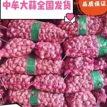 专业一件代发，可接急单对接各大平台，运营主播