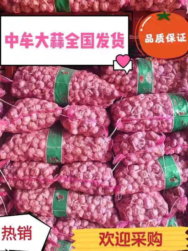 专业一件代发，可接急单对接各大平台，运营主播