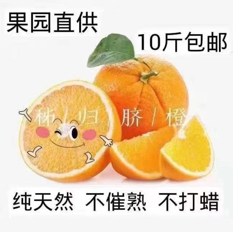 秭归中华红橙，酸甜适度，