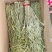 干货贡菜苔特产干脱水蔬菜苔菜干干货食材批发