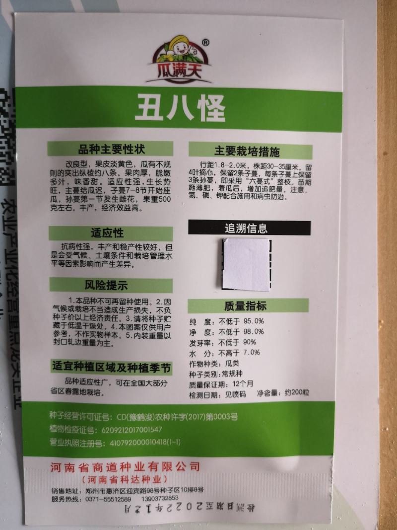 黄皮甜瓜种子十棱黄金瓜种子厚皮甜瓜种子黄香瓜种子5克