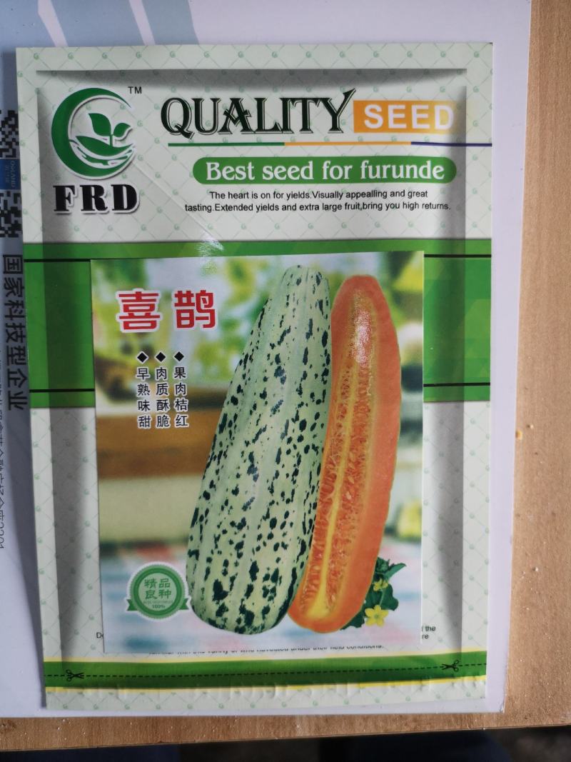 黄皮甜瓜种子十棱黄金瓜种子厚皮甜瓜种子黄香瓜种子5克