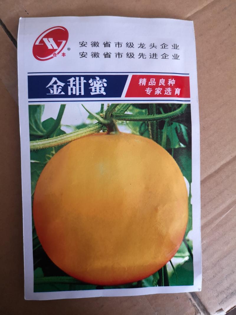 黄皮甜瓜种子十棱黄金瓜种子厚皮甜瓜种子黄香瓜种子5克