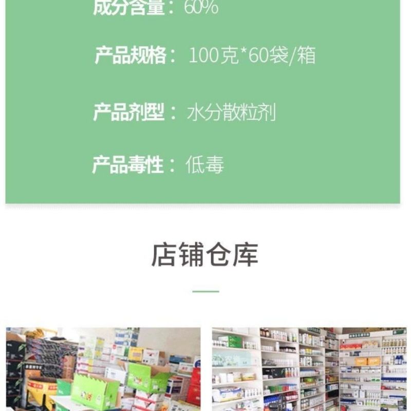 盈辉祺泰吡唑代森联瓜果霜霉病疫病炭疽病早疫晚叶
