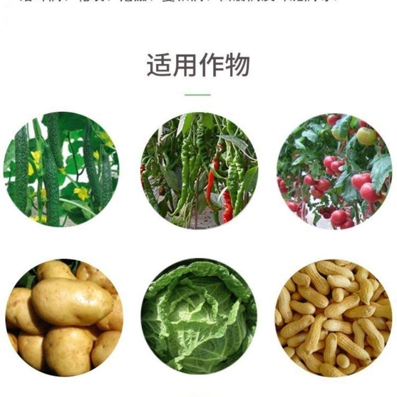 盈辉祺泰吡唑代森联瓜果霜霉病疫病炭疽病早疫晚叶