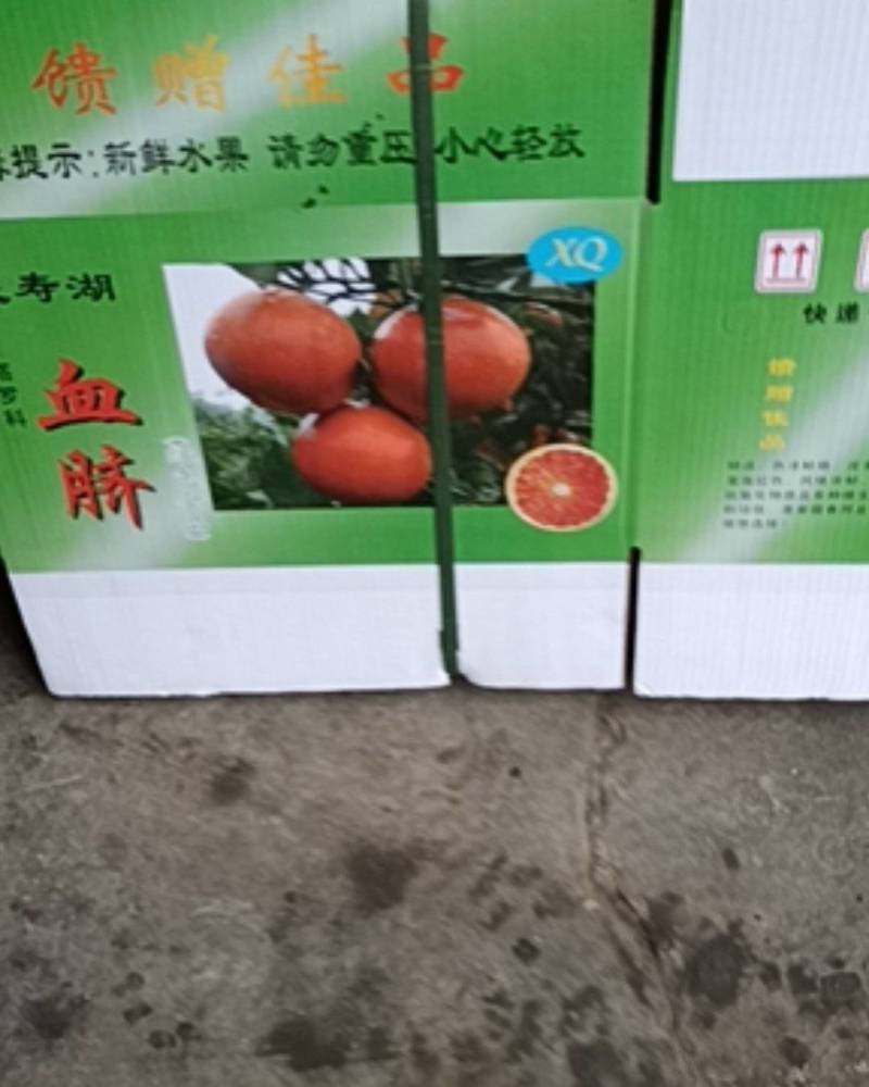 重庆血橙，血橙中的贵族，持续发货中欢迎咨询下单