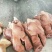 国产白猪头肉8分熟去骨猪头肉，嘎嘎瘦，新货手续齐全打电话