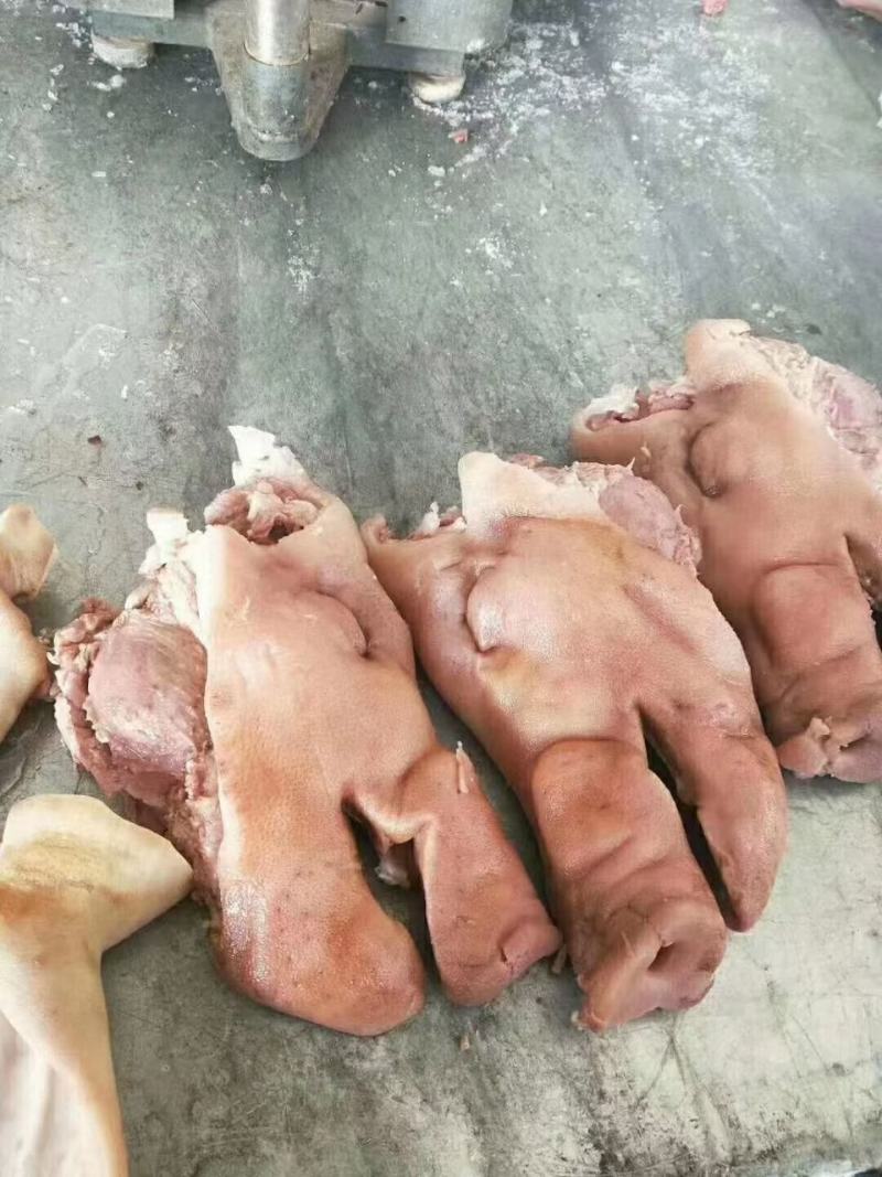 国产白猪头肉8分熟去骨猪头肉，嘎嘎瘦，新货手续齐全打电话