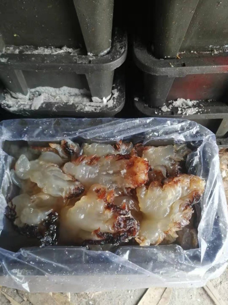 海蜇头，爽脆可口，产地直销，大量现货，支持一件代发