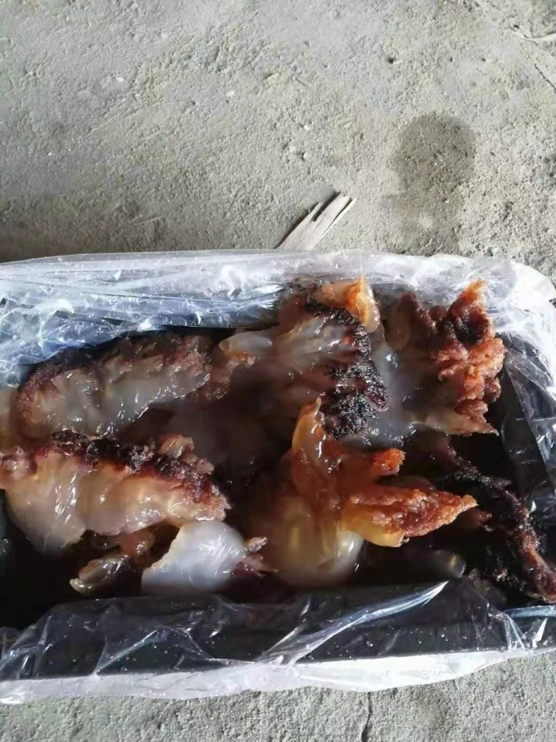 海蜇头，爽脆可口，产地直销，大量现货，支持一件代发