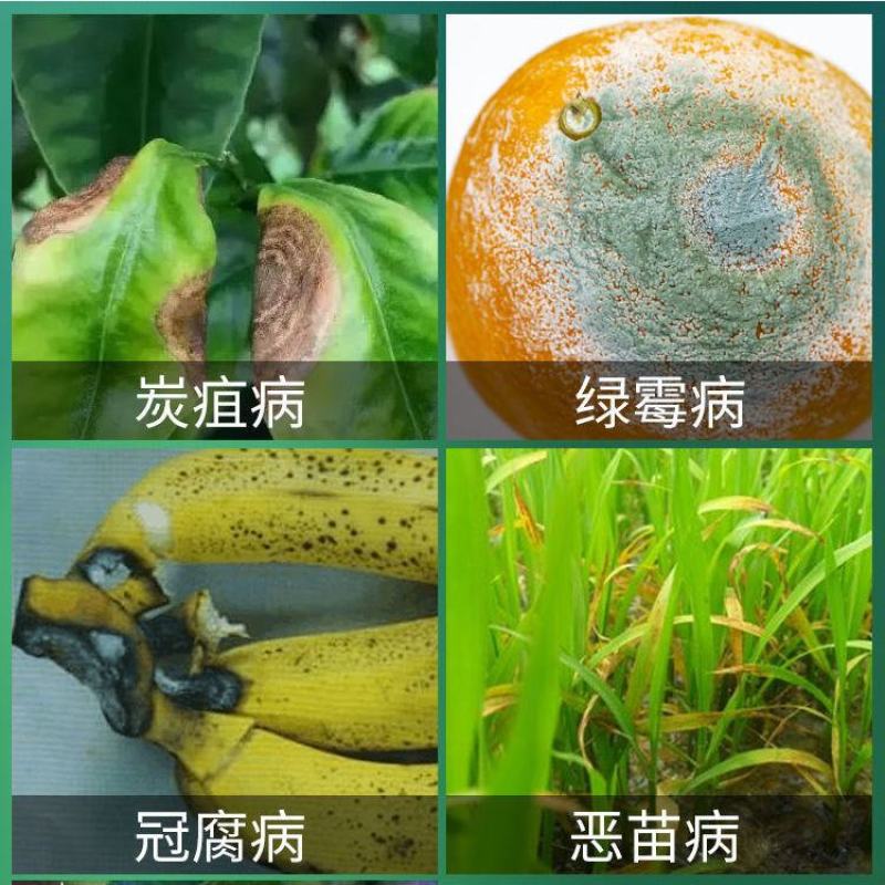 咪鲜胺杀菌剂米鲜胺农药果树炭疽病咪安咪鲜铵脒水稻稻瘟病咪