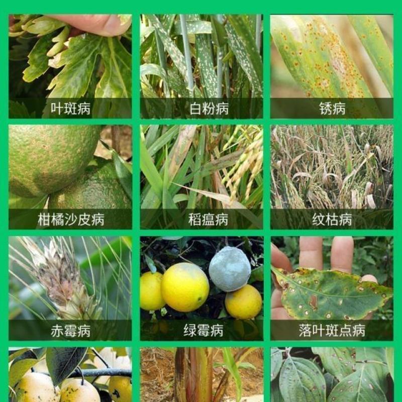 咪鲜胺杀菌剂米鲜胺农药果树炭疽病咪安咪鲜铵脒水稻稻瘟病咪