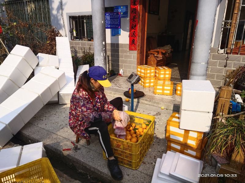 蜜香橙纯甜无酸，自然成熟，不打甜蜜素，不洗果，不打腊！