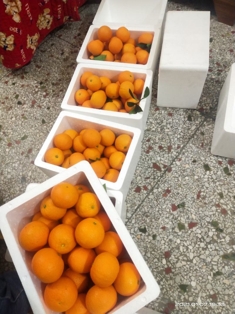 蜜香橙纯甜无酸，自然成熟，不打甜蜜素，不洗果，不打腊！