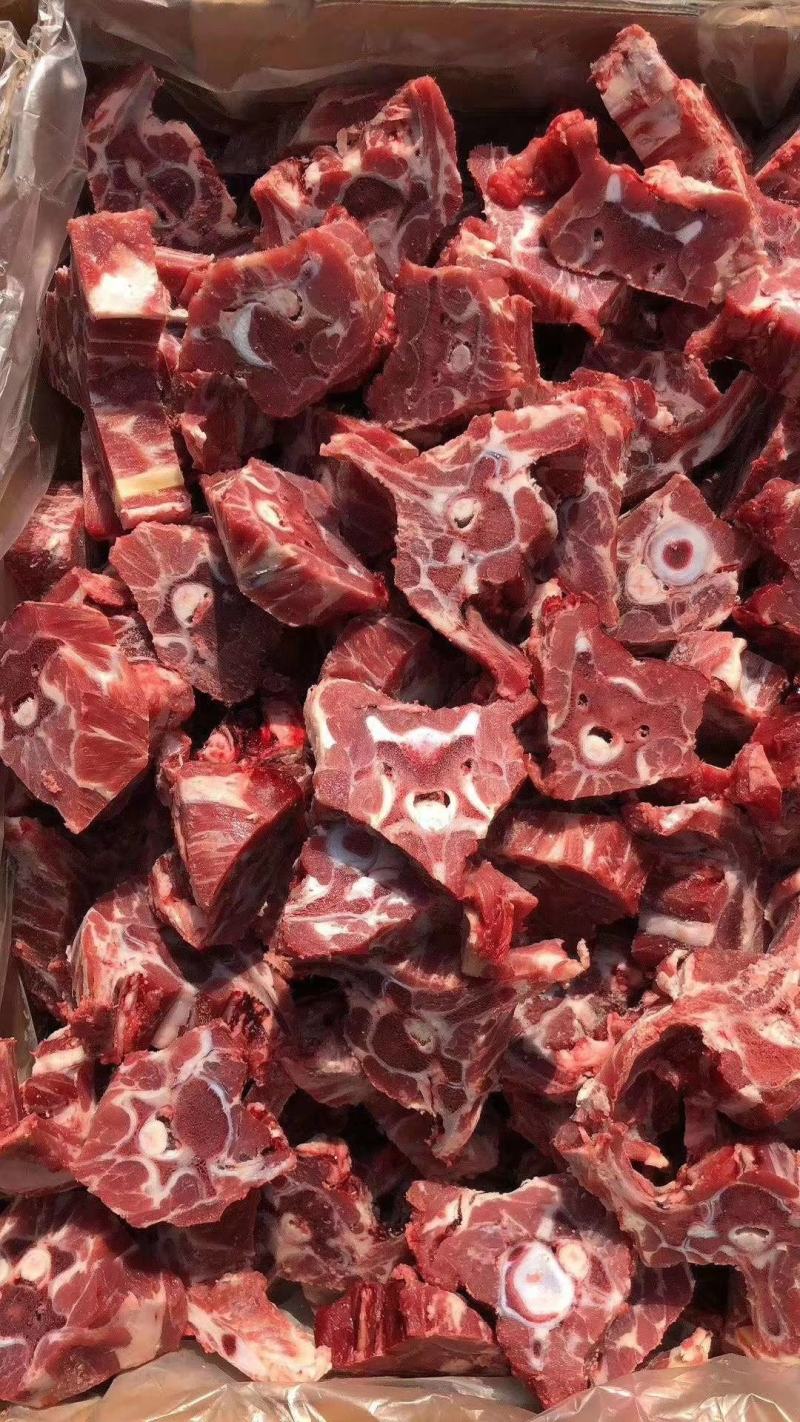 新鲜羊蝎子羊脊骨50斤起批