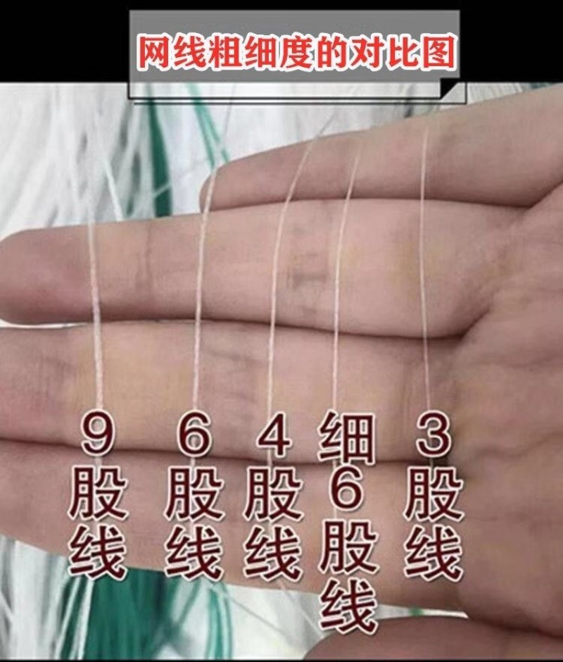 （山药豆角爬藤网）各类豆角爬藤网种植网攀爬网农业用网