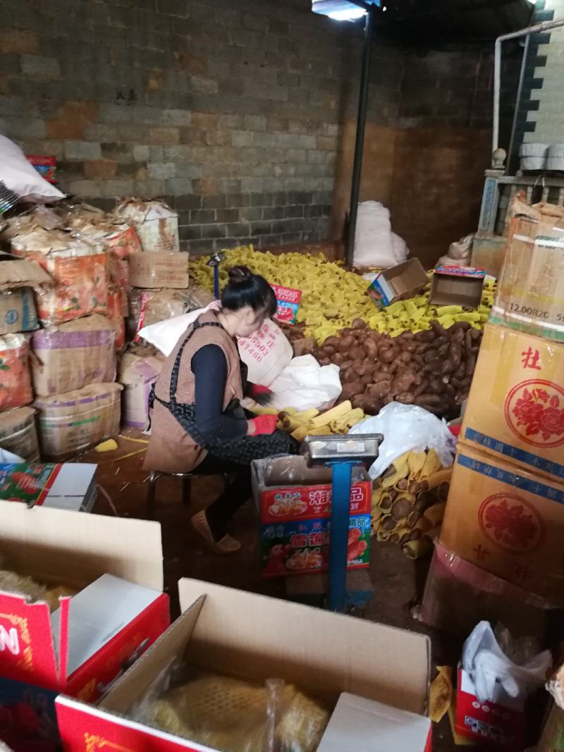 中国云南文山丘北雪莲果批发