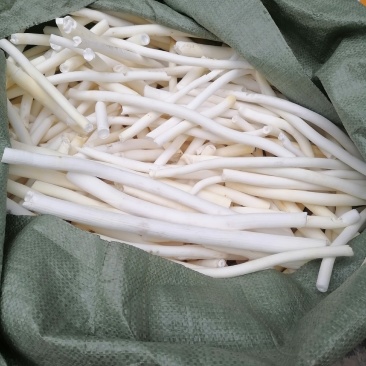 大通草看上的老板联系我