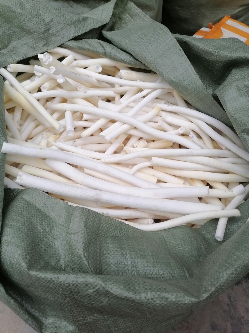 大通草看上的老板联系我