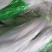 【豆角专用爬藤网】荷兰豆豌豆长豆角扁豆四季豆种植攀爬网