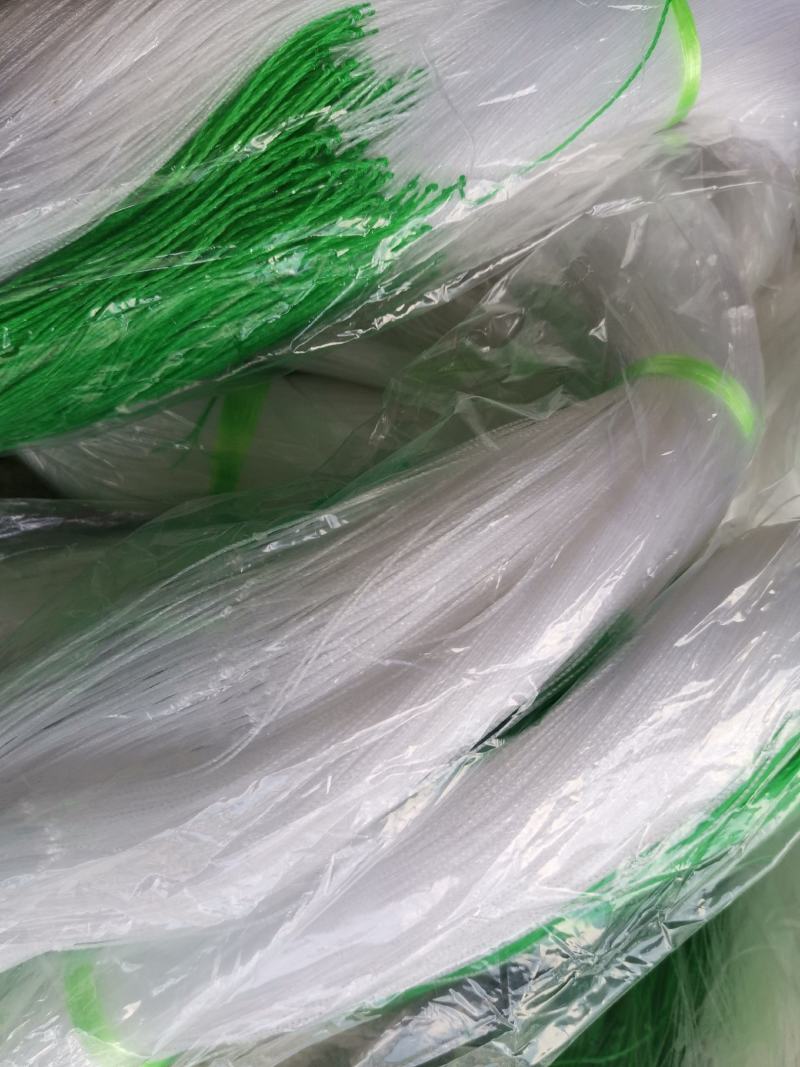 【豆角专用爬藤网】荷兰豆豌豆长豆角扁豆四季豆种植攀爬网