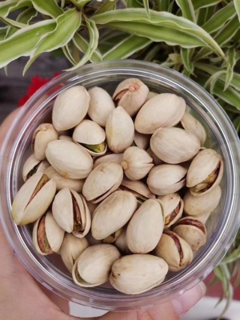 开心果，又名必思答，绿仁果等。阿月浑子（Pistachi
