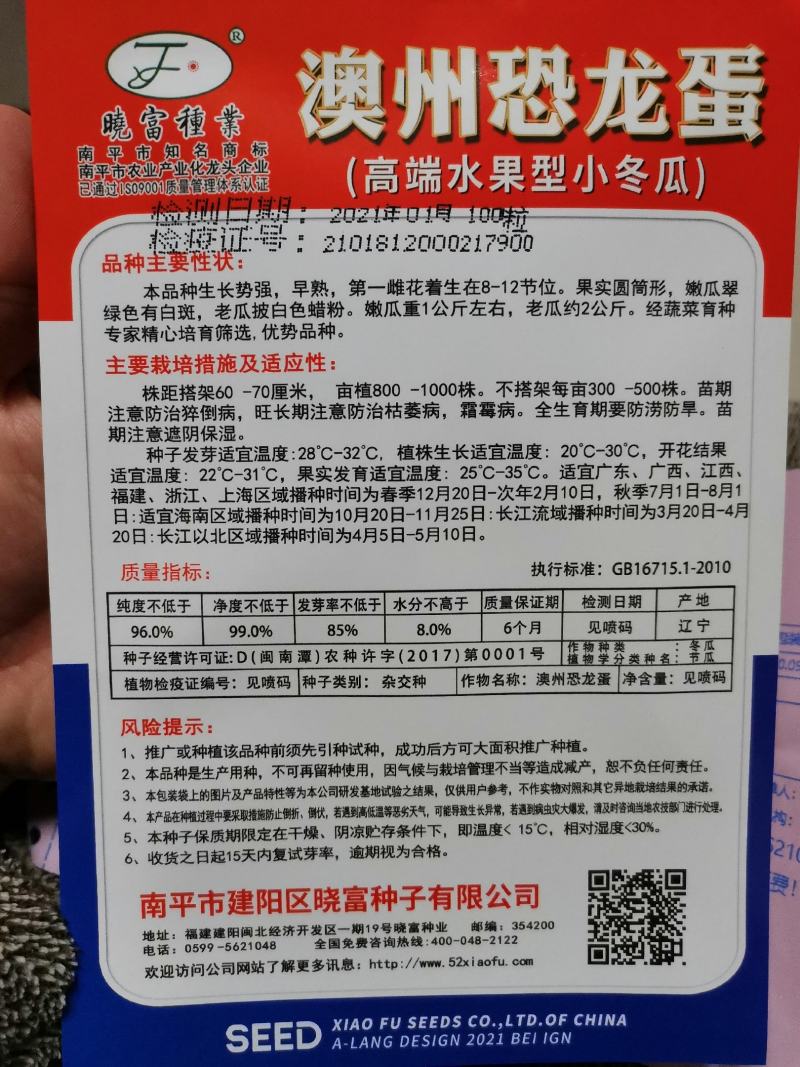 水果味澳洲恐龙珍绿系列水果小冬瓜冬瓜种子绿皮白肉内腔小