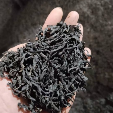 福建高海拔，，小种红茶醇香红茶品质保障价格详谈