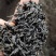 福建高海拔，，小种红茶醇香红茶品质保障价格详谈