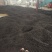 福建高海拔，，小种红茶醇香红茶品质保障价格详谈