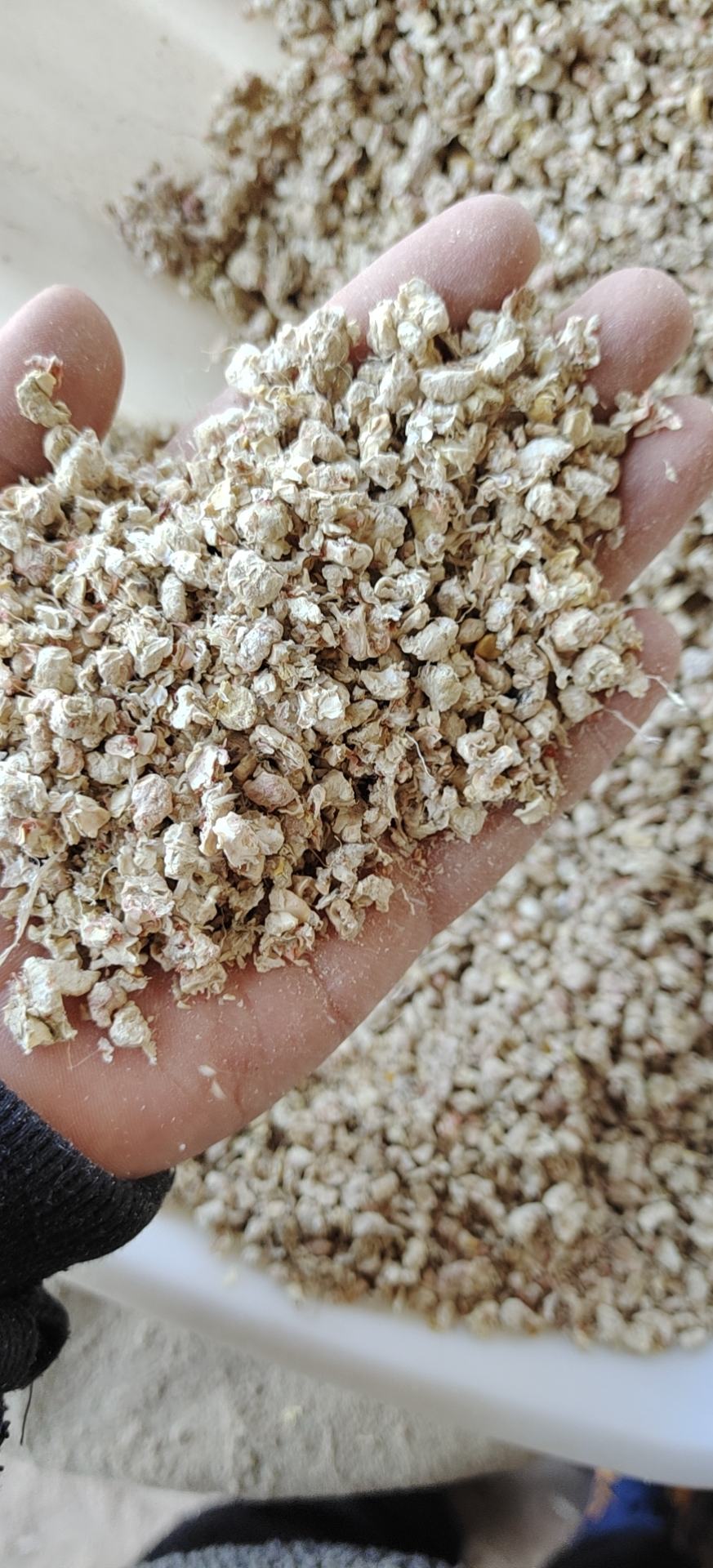 [玉米芯批发]玉米芯颗粒 整芯出售700.00元/吨 - 一亩田
