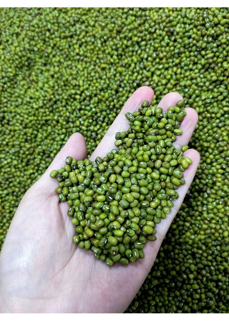恩施来凤特产绿豆皮绿豆粉湿豆皮
