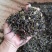 福建高海拔高山乌龙茶浓香茶醇厚散茶