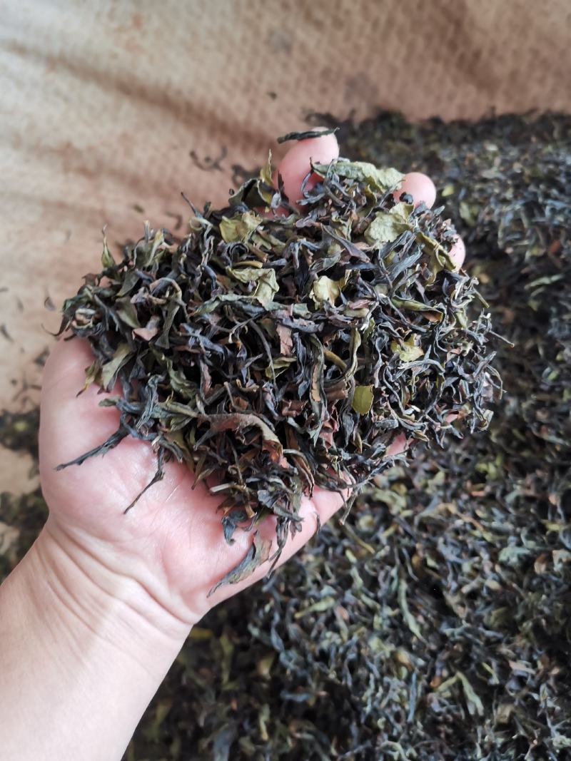 福建高海拔高山乌龙茶浓香茶醇厚散茶