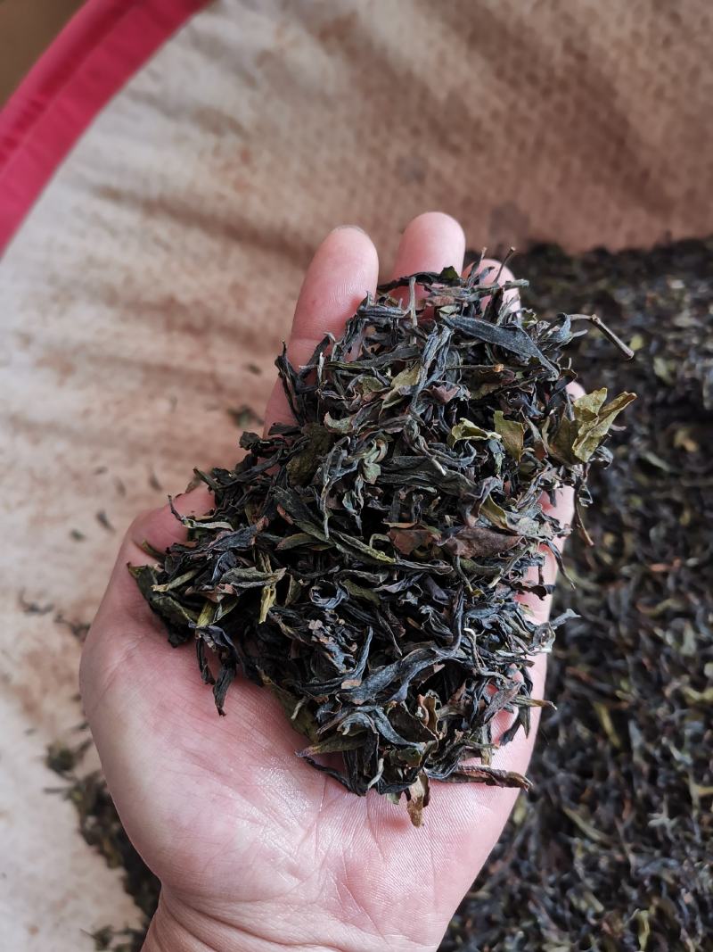 福建高海拔高山乌龙茶浓香茶醇厚散茶
