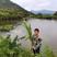 江西省赣州市生态鱼养殖基地常年出售生态淡水青草鱼，