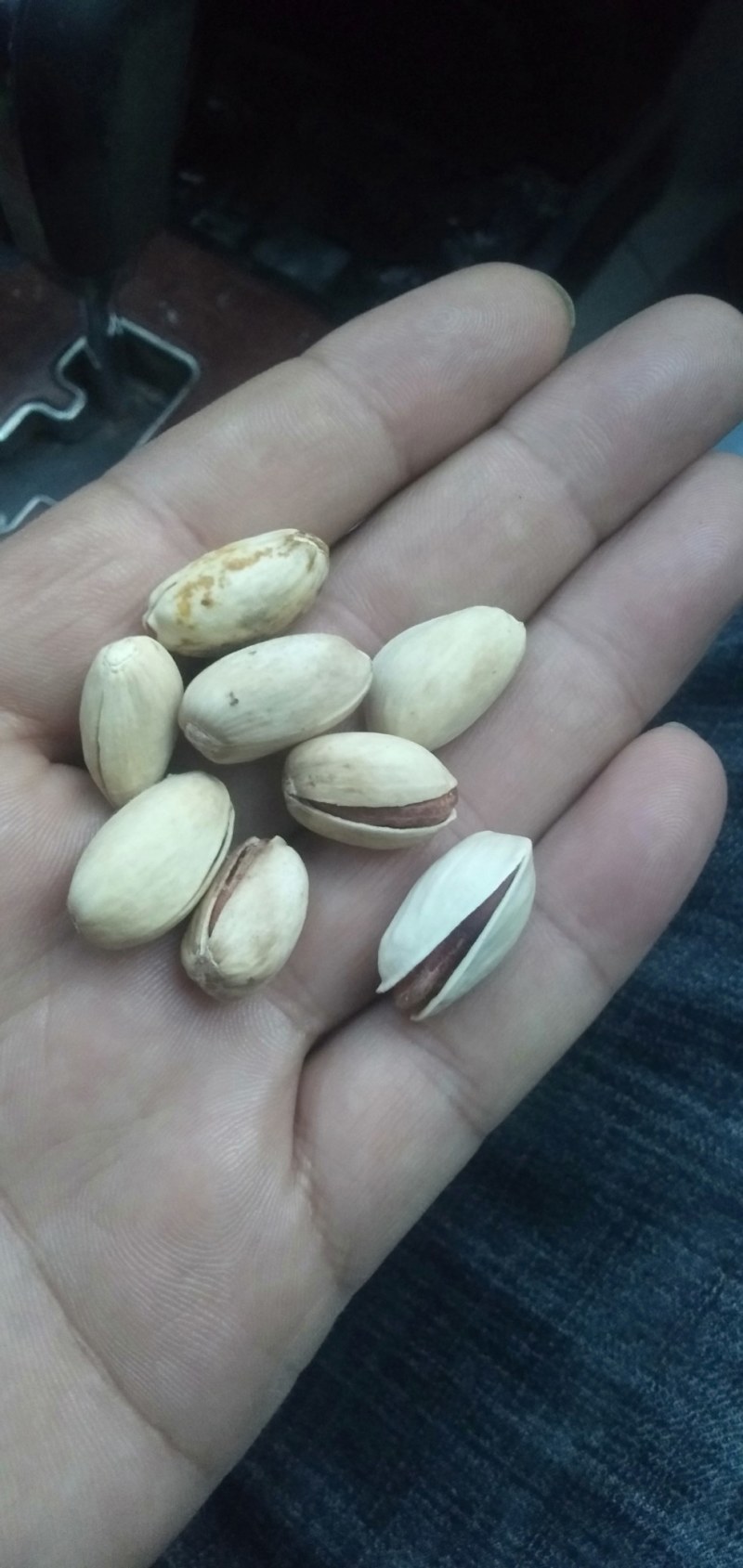 开心果种子新疆吐鲁番