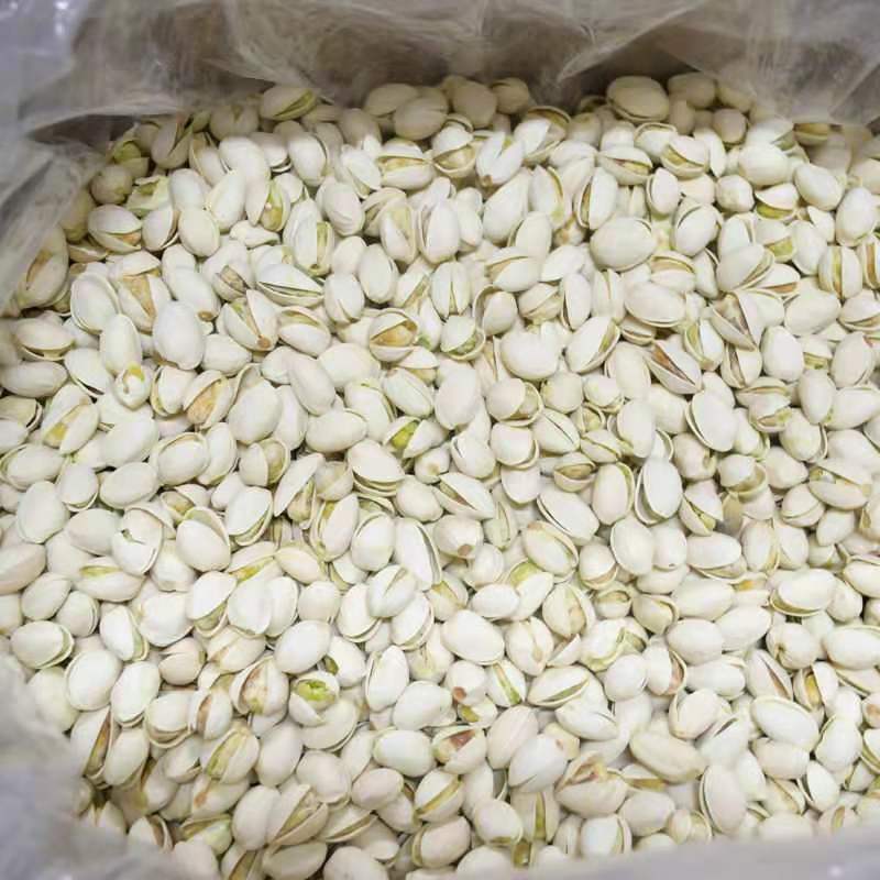 开心果种子新疆吐鲁番地区托克逊县包成活保质量