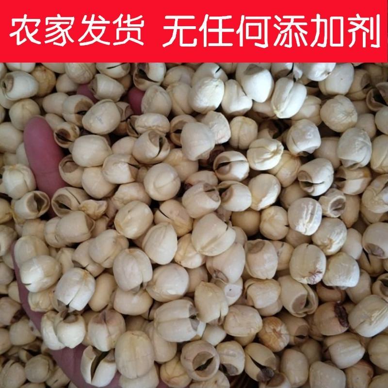 江西广昌新货干莲子自家烘烤无硫大量供应批发超市品质保证