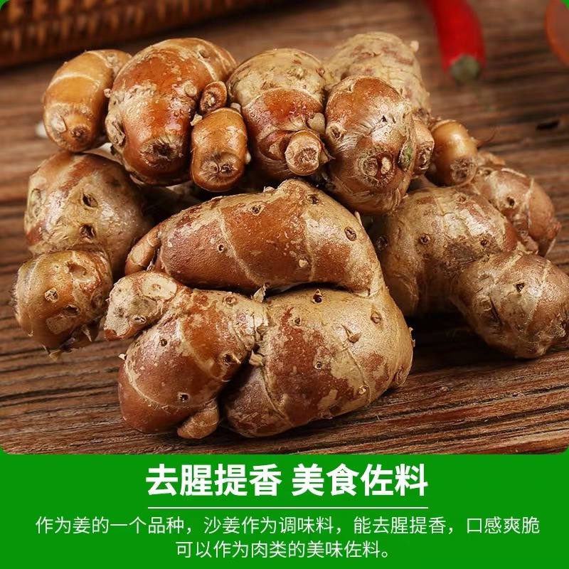 正宗广东沙姜白切鸡配料去腥入味支持一件代发