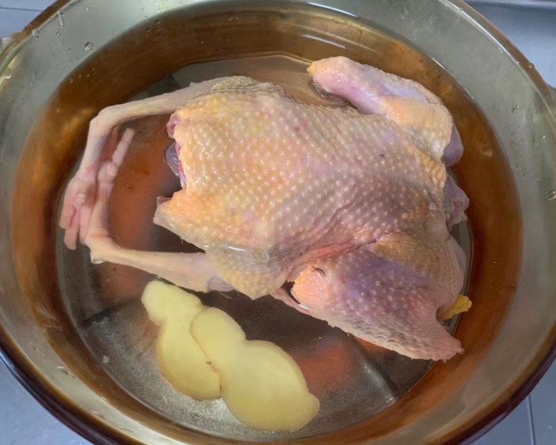 客家佬土特产鸽子厂家直销