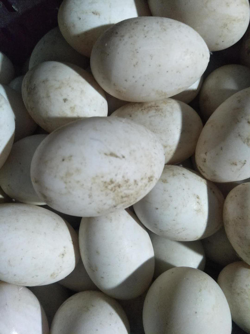 鸭蛋，大白鸭蛋80-120克，双黄鸭蛋，裂纹蛋，经文蛋，