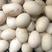 鸭蛋，大白鸭蛋80-120克，双黄鸭蛋，裂纹蛋，经文蛋，