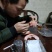 暹罗红柚枝条（泰国三红柚枝条)穗条质量保证基地直供