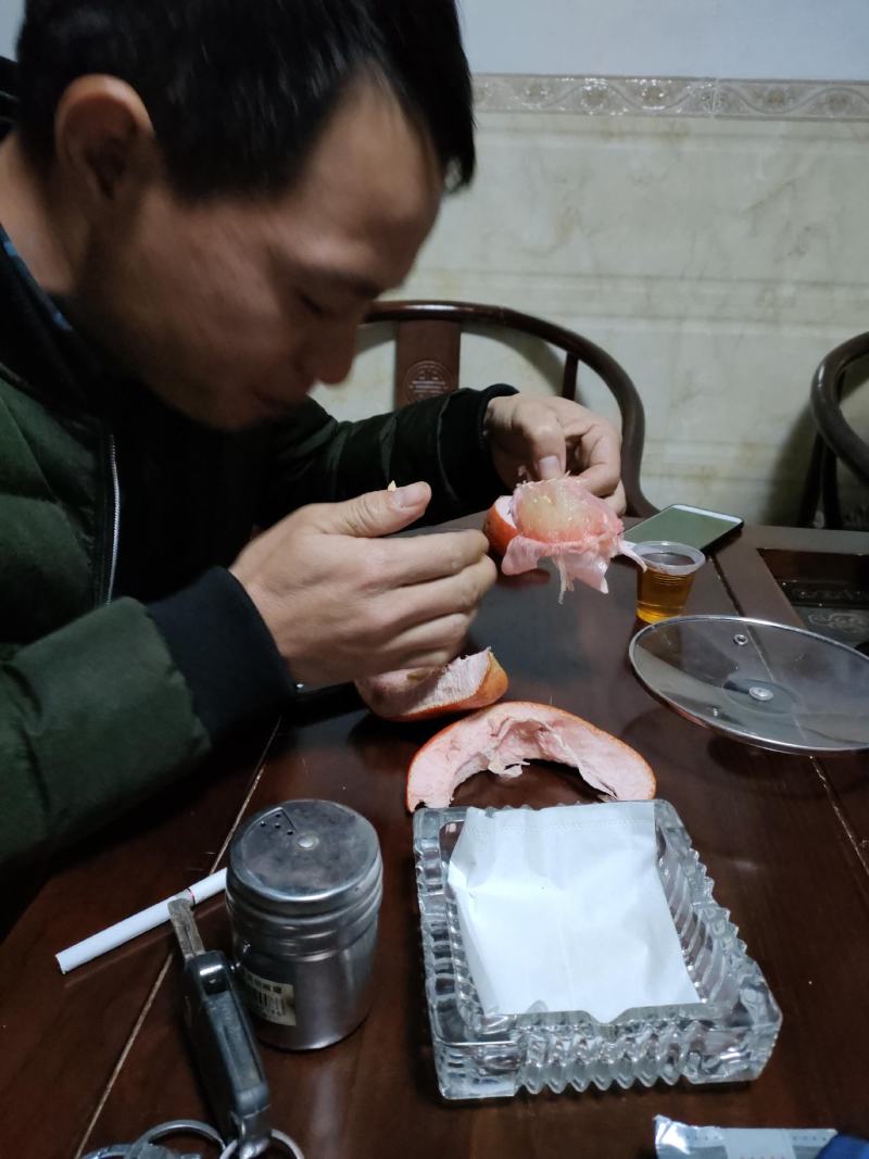 暹罗红柚枝条（泰国三红柚枝条)穗条质量保证基地直供