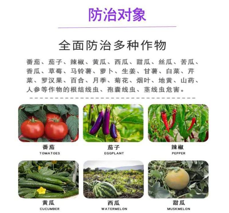 淡紫拟青霉，专治根结线虫，孢囊线虫，茎线虫，活性菌50亿