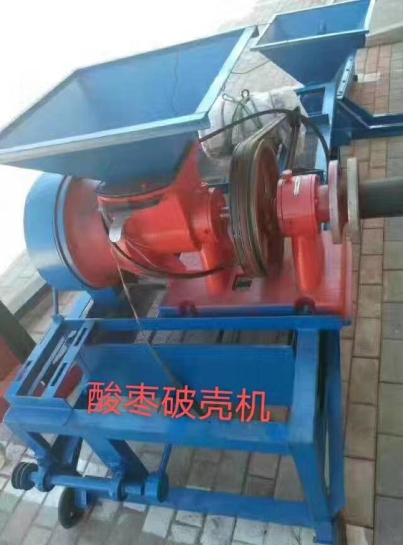 酸枣仁种子，酸枣种子，质量有保障自产自销