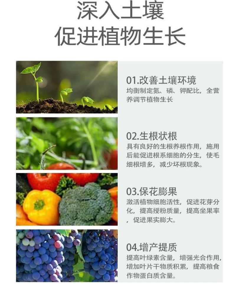 淡紫拟青霉，专治根结线虫，孢囊线虫，茎线虫，活性菌50亿